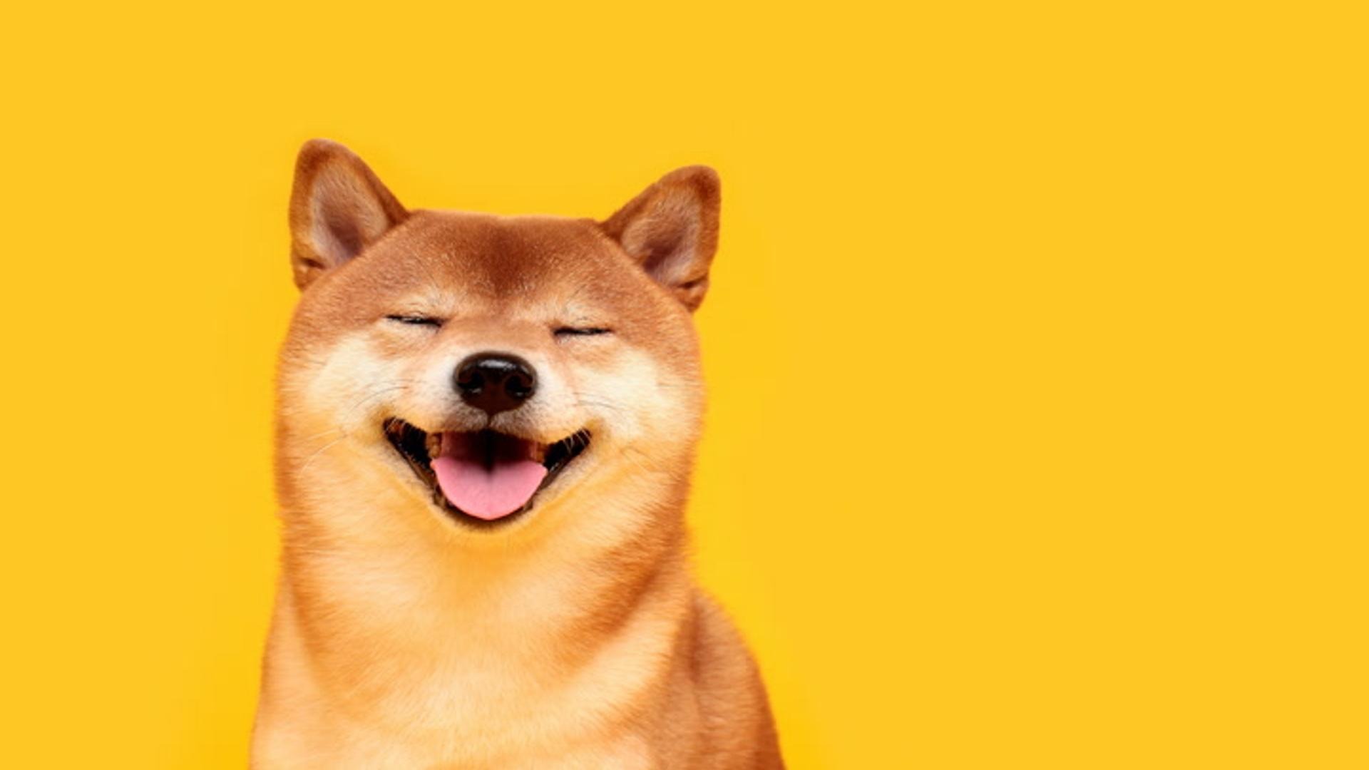 柴犬币飙升36%，韩国交易员助推神秘涨势
