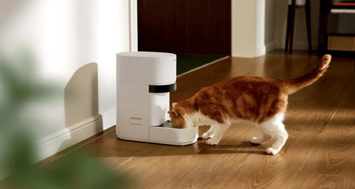 Petlibro 新款 AI 喂食器，堪称多猫家庭的“游戏规则改变者”